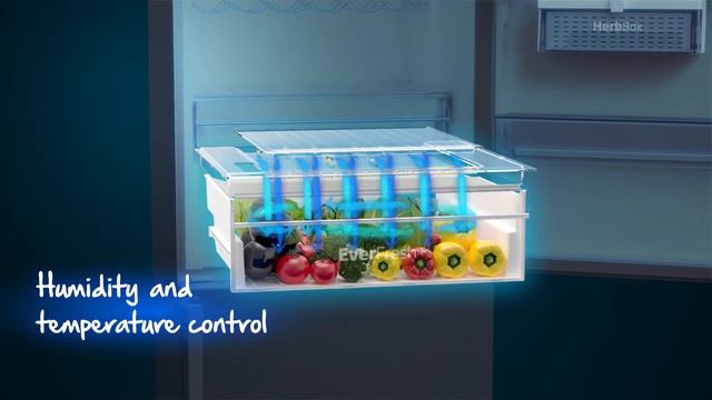 Discover the EverFresh+® Fridge Technology by Beko 2017 - National Product Review