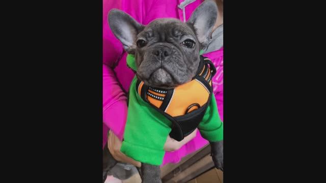 Милашки с Маркетплейса 17.  Cuties from the Marketplace 17