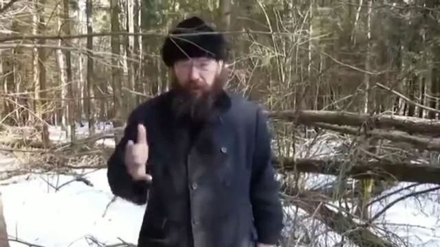 Запреты по сбору хвороста в лесах Подмосковья!
