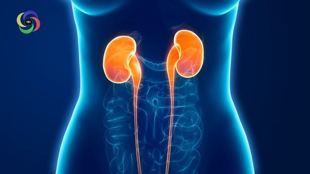 Most Used Kidney Frequncy 319.88 Hz for Kidney Stones, Kidney Cleanse, Kidney Pain Relief #RMBB