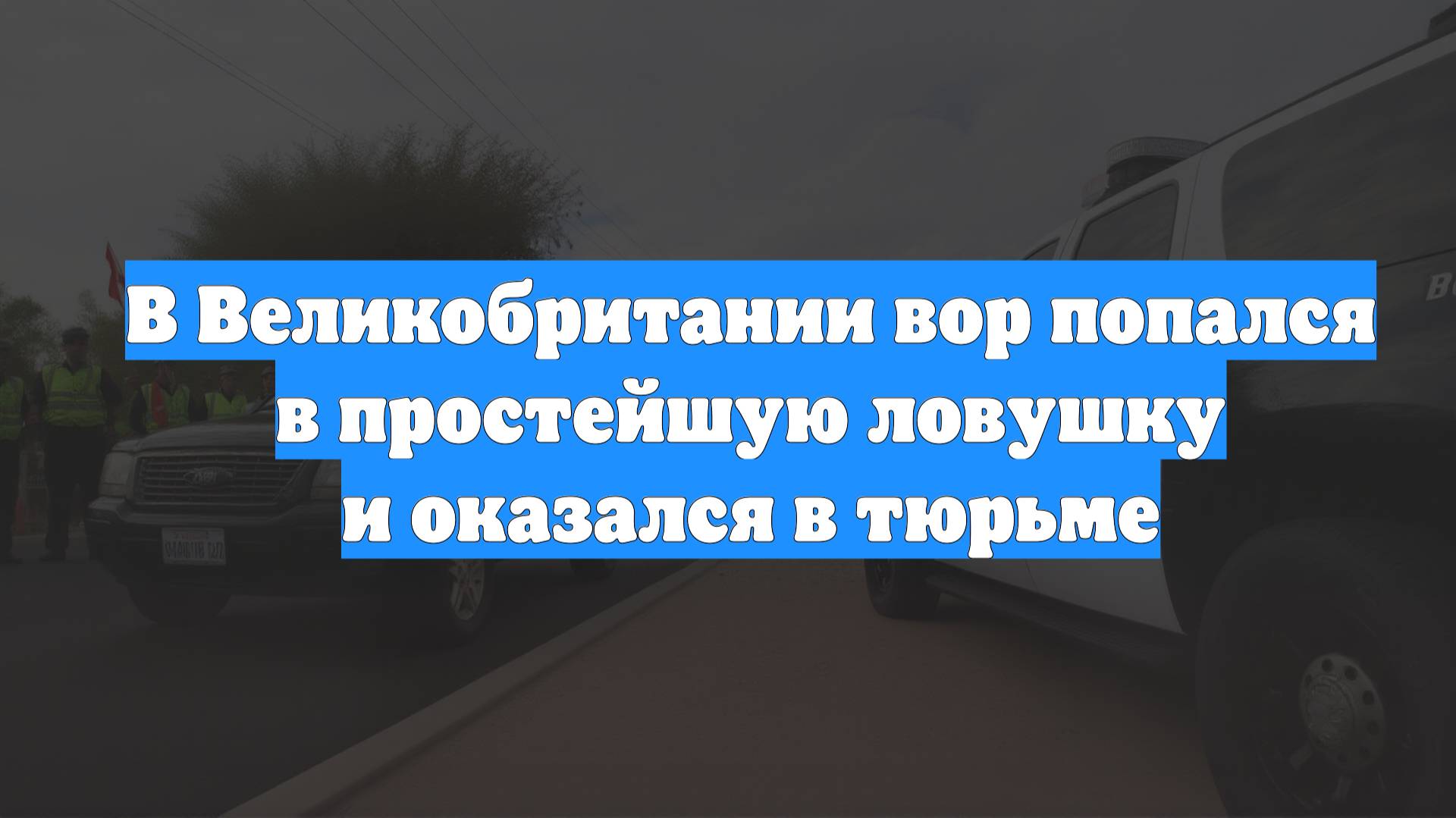 В Великобритании вор попался в простейшую ловушку и оказался в тюрьме