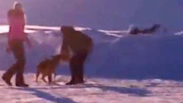 МДБ Феррари (кусь часть 2) Фигурант Губин П.Г.