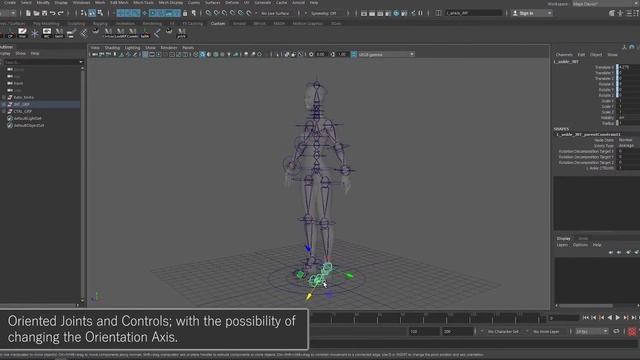 Auto Rig Tool - DEMO
