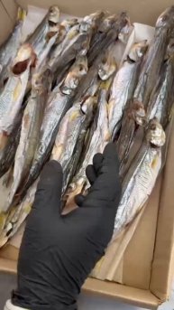 🔥 Новое поступление деликатесной рыбы! 🔥
Приятный аромат, насыщенный вкус и идеальное качество