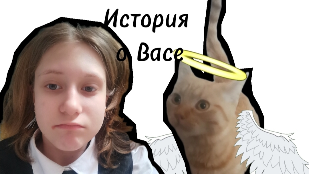 История про моего котика. Sofaa/Bond