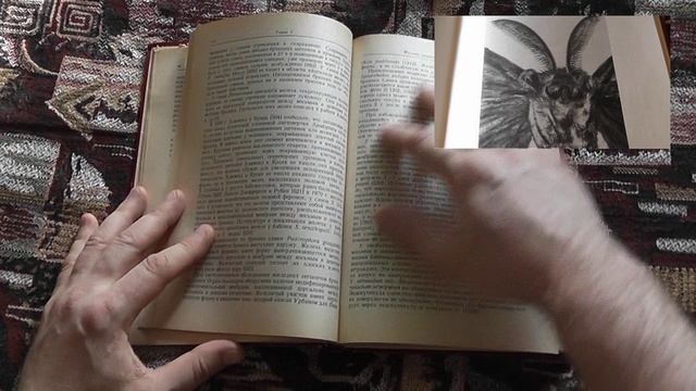 "Половые феромоны насекомых" (М.Джекобсон,1976)