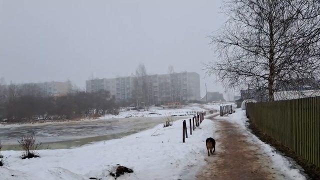 Ссылка на видео внизу👇.Всю эту инф👇.за 4 года вам на блюдечке  преподнесла. 26.02.24г.