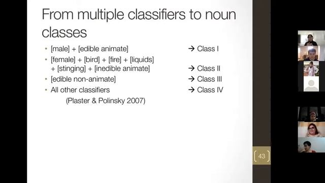 Women Are Not Dangerous Things: Noun Classification Across Minoritized Languages