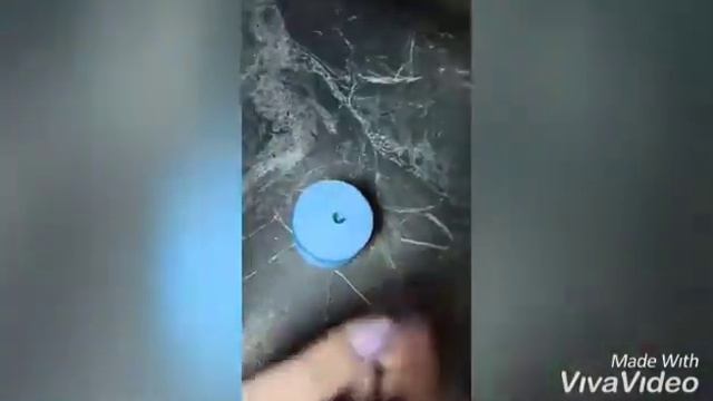 Тройник подснежников