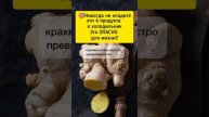 никогда не кладите эти 4продукта в холодильник #шортс #рецепт #зож #похудение #продукты #потерявеса