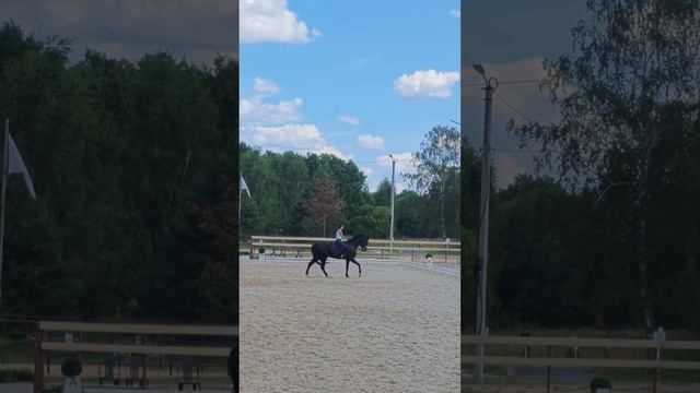 Оксана Новикова и Дольче Вита, съездка кюра 2024 г. #horse, #equestrian, #лошади, #pony,