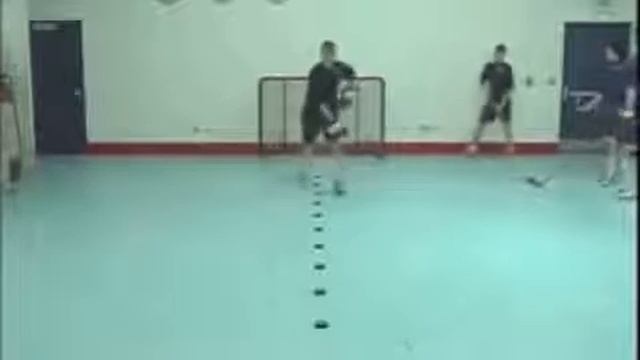 КОЛЛЕКЦИЯ US HOCKEY - Quick Hands