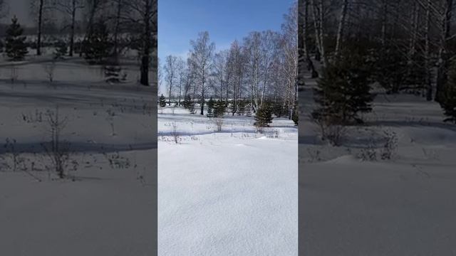 участок