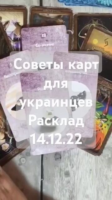 Видео WhatsApp 2025-02-28 в 21.56.53_508e30b6