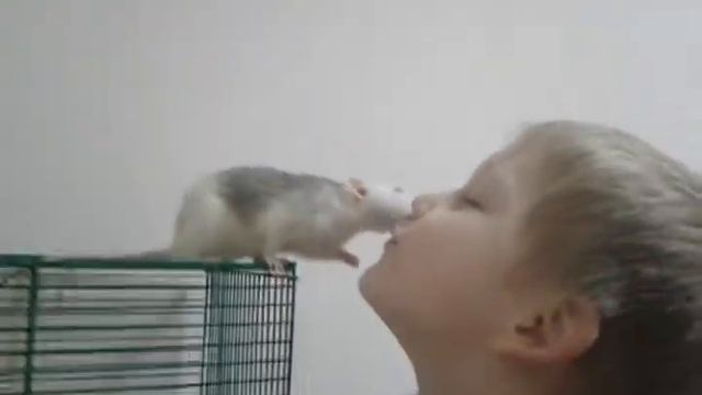 Пригласила брата в видео. СПАСИТЕ . Я и моя крыска Мася.