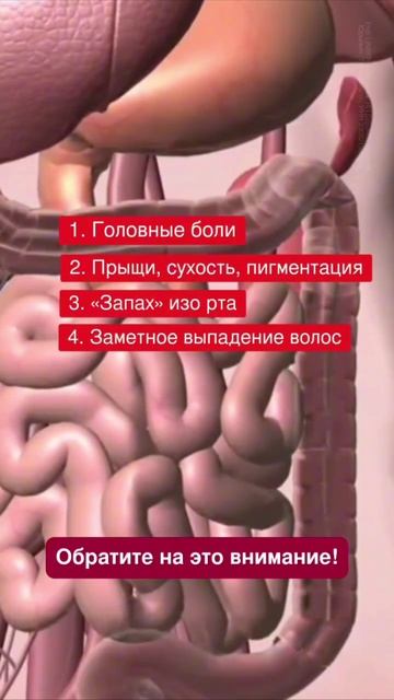 Травы для очищения 🌿