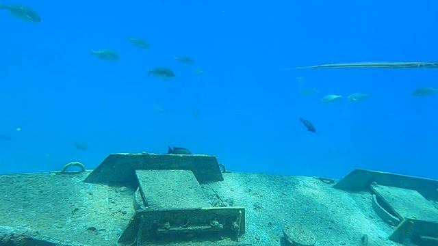 чистка стекол на дайв сайт Ресторан  2020 Эйлат Ahla dive club