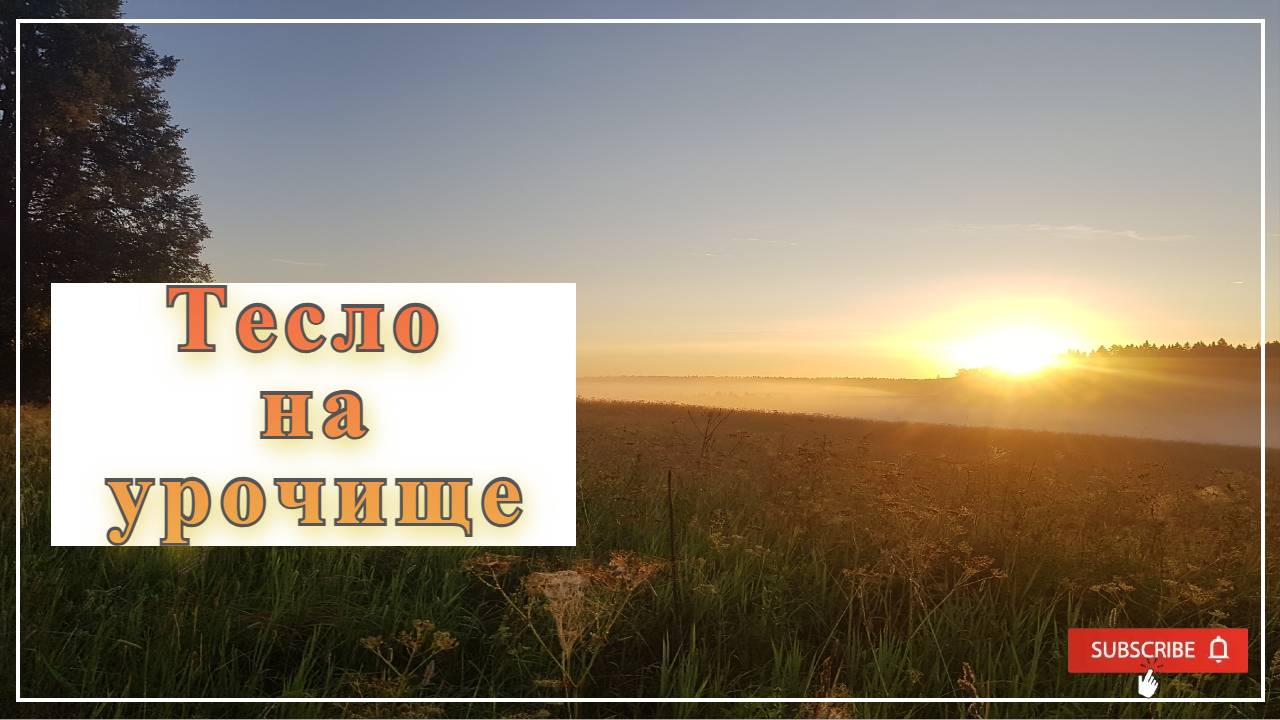 Шурф на старом урочище. Нашёл тесло.