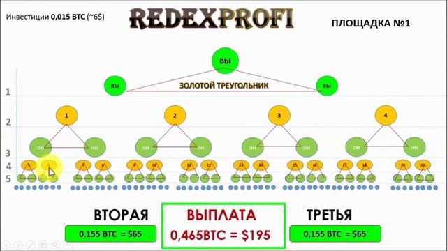 Проект RedeX золотой треугольник ворвался в 2016год