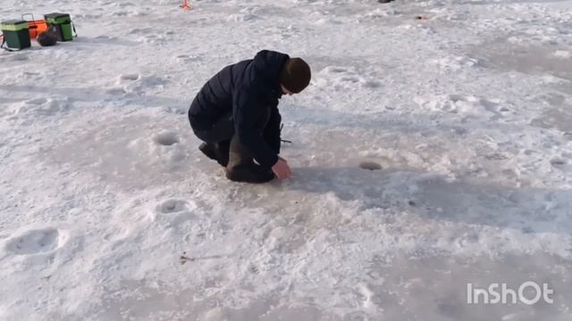1000062385.mp4