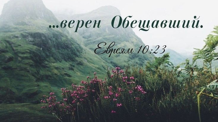 Доверие | христианский стих