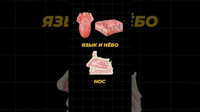 КАК ВЫБРАТЬ АНТИСЕПТИК ДЛЯ СВОЕЙ АПТЕЧКИ? 🏥 #наука #егэ2025 #факты #шортс #химия #аптечка #shorts