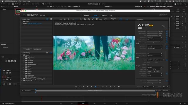 arri raw open gate
