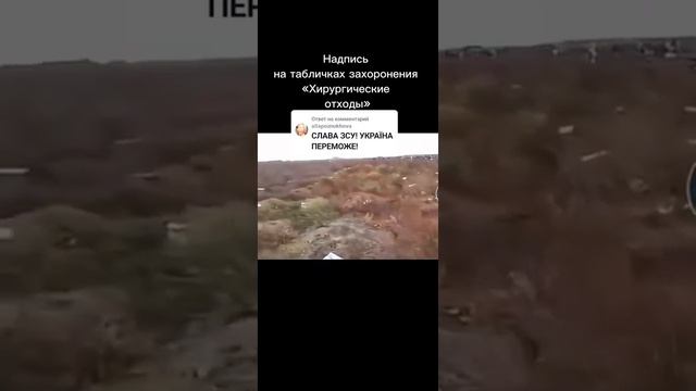Дохлые распотрошонные укропы и их ямы,где их усраина закопала🤣🤣🤣