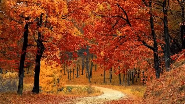 1 Hour of Autumn