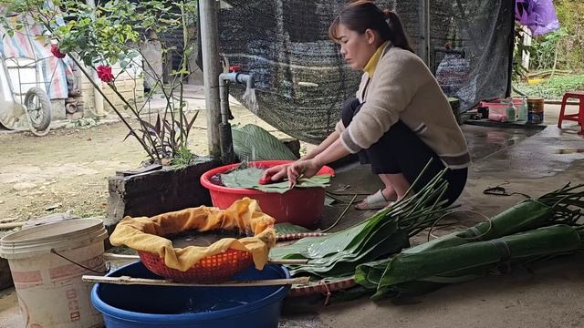 Rice cake filled with pork.  Traditional Vietnamese banh tet. ( Ep 242 ).