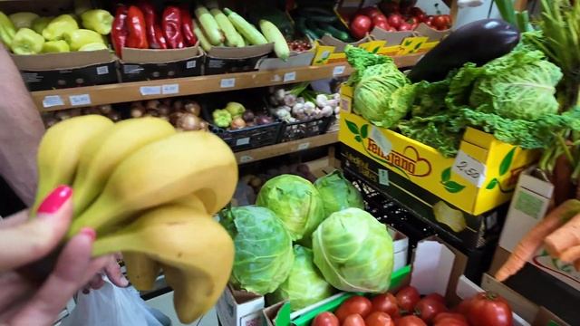 VLOG5: Закупаем продукты. Цены. Монастырь Острог. Дороги Черногории. Спор 2х весов!