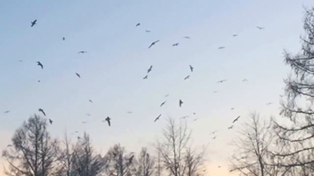 Под синими небесами