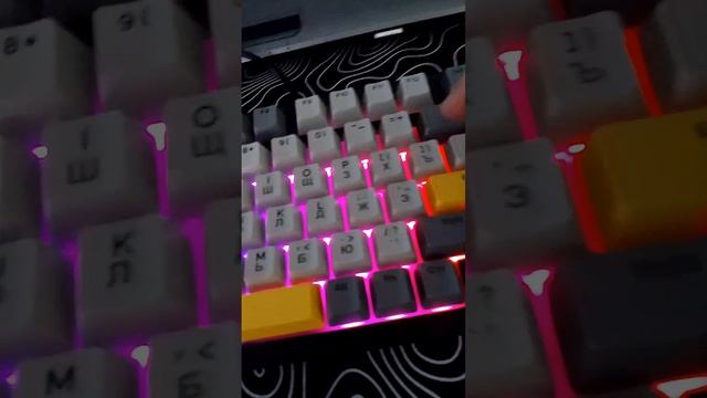 1000030053.mp4
