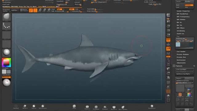 shark turntable