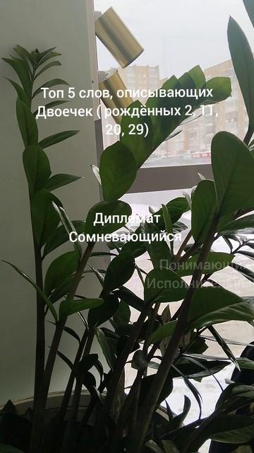 01-03-2025