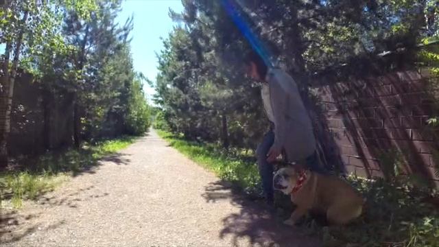 Дрессировка через понимание🐕Меня зовут Наталья Севастьянова я кинолог со стажем более 30 лет.