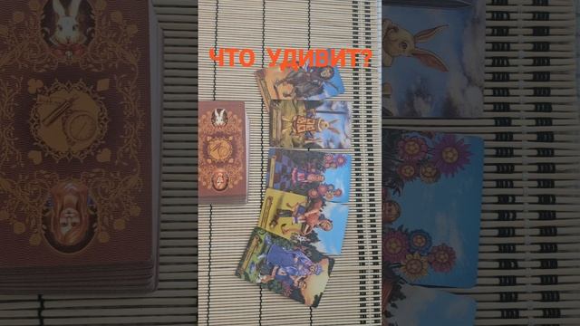 ЧТО УДИВИТ ?