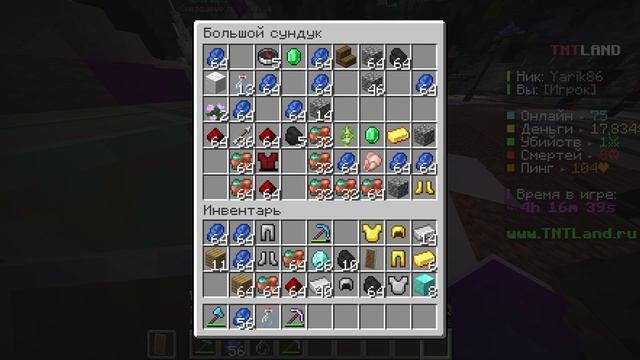 Minecraft_ 1.21.4 - Сетевая игра (сторонний сервер) 2025-03-01 19-23-02