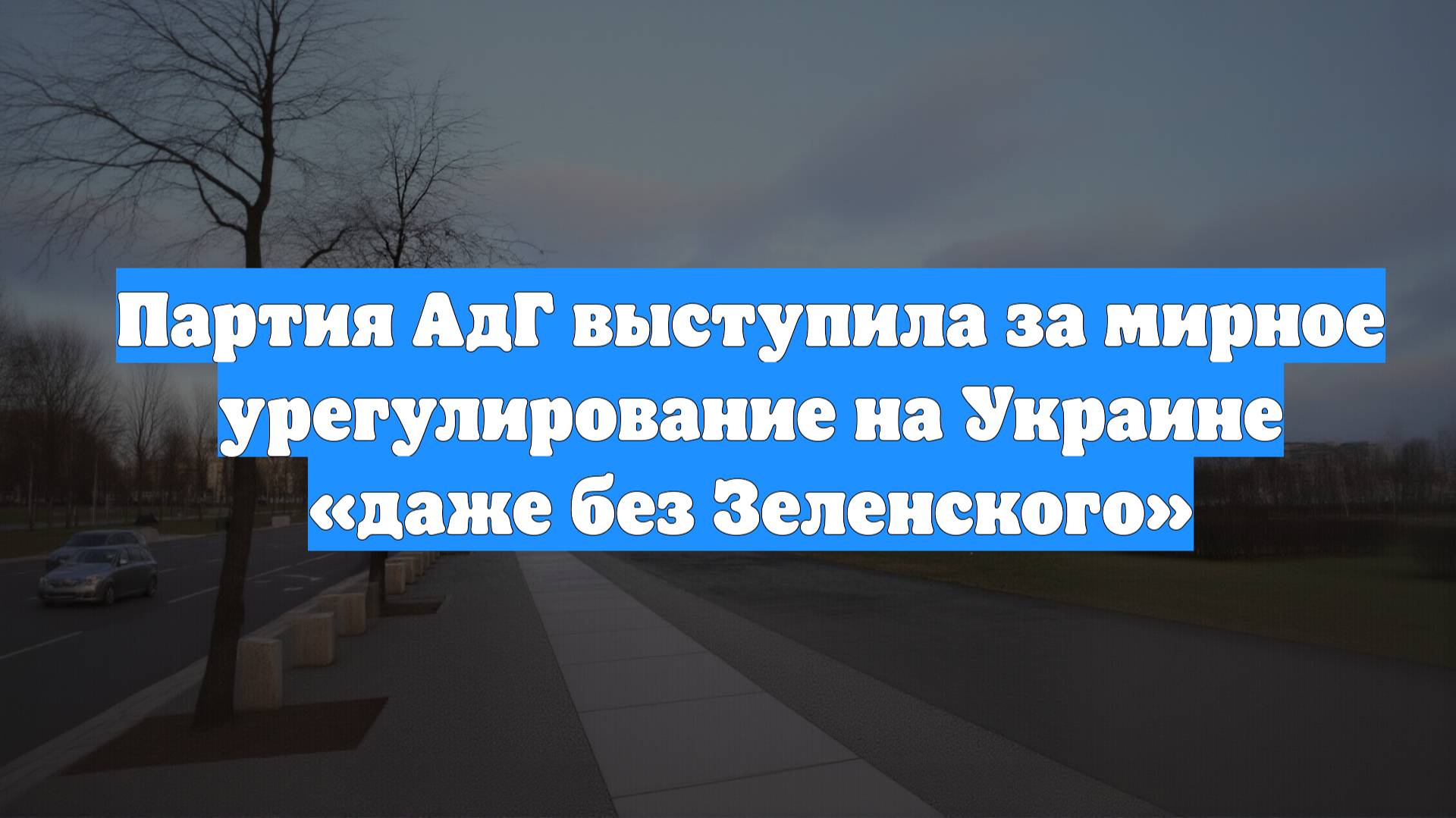 Партия АдГ выступила за мирное урегулирование на Украине «даже без Зеленского»