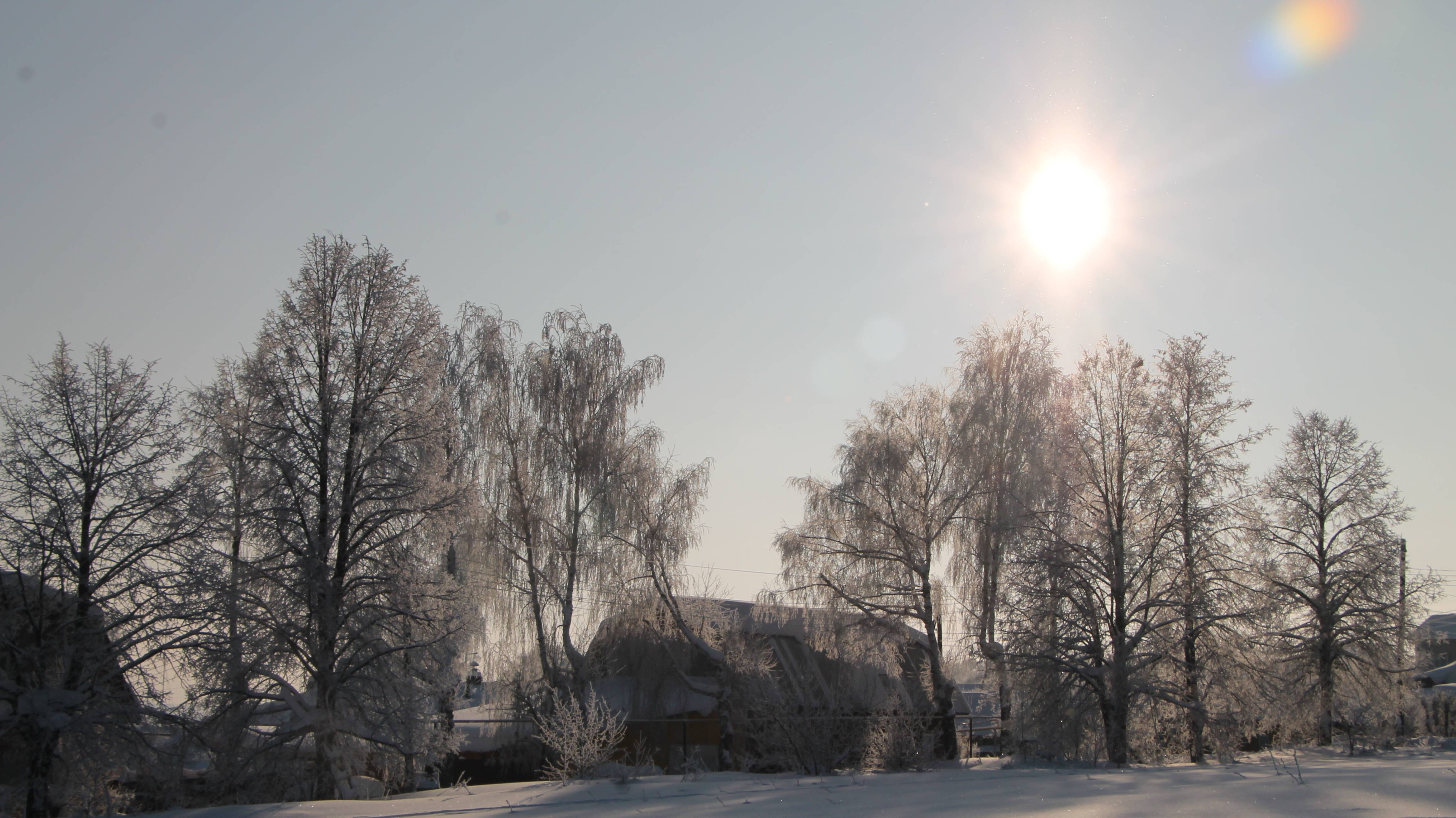 Зимовка пчёл в огороде.  ч. 1  (1 марта 2025)