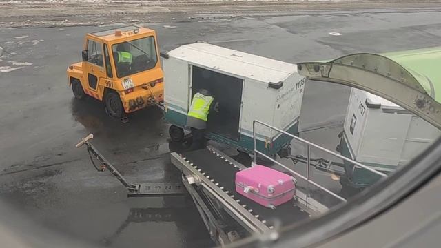 Разгрузка багажа в Домодедово