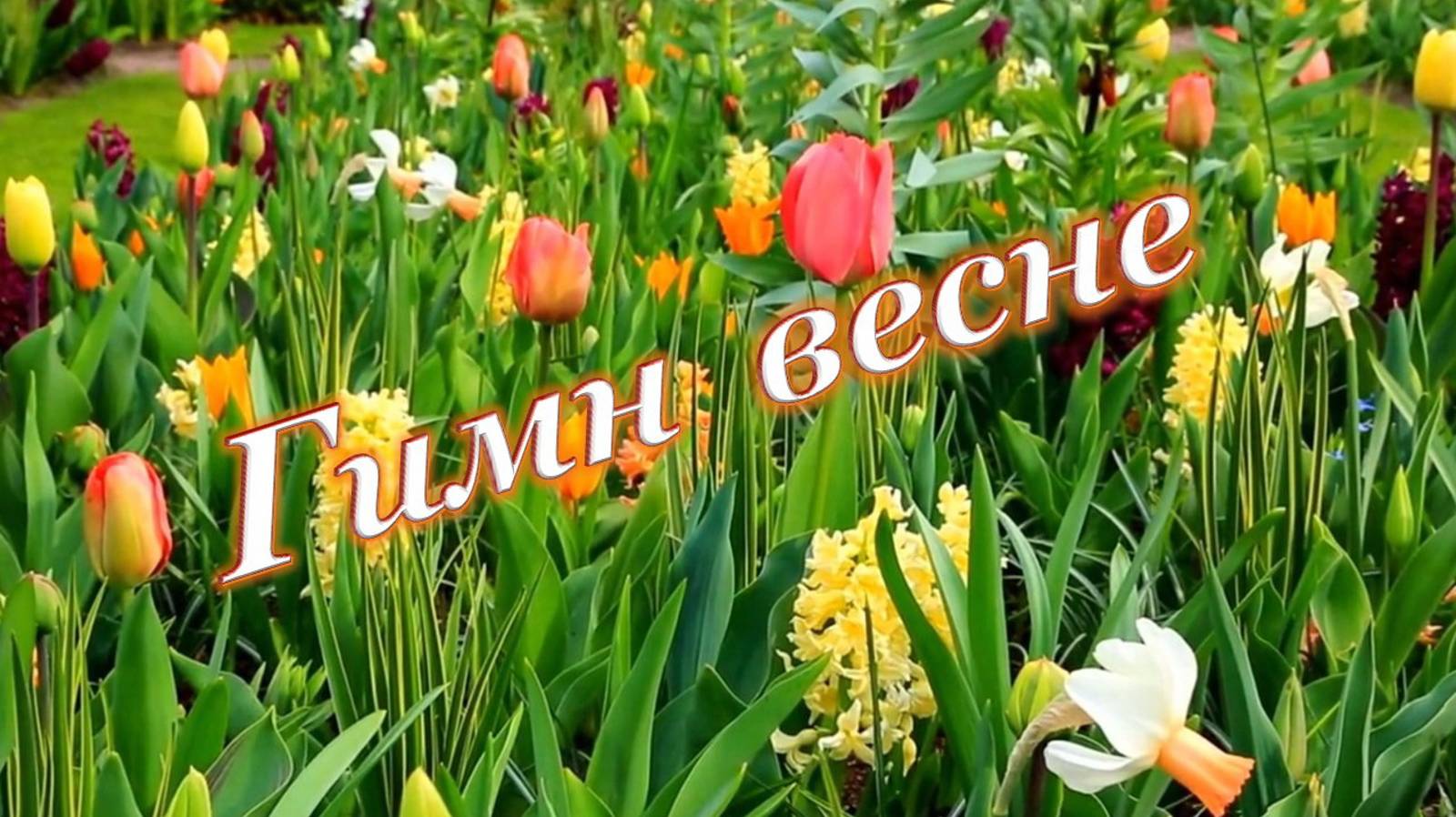 🌷 ГИМН ВЕСНЕ