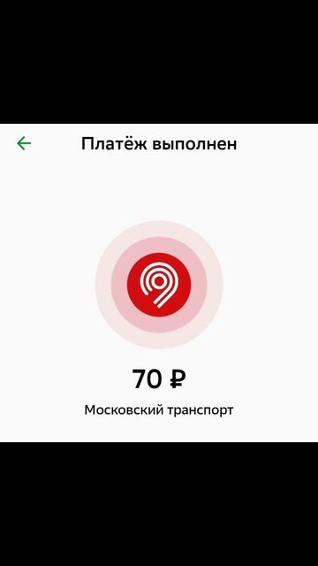 Полезная информация про цену на оплату метро банковской картой.