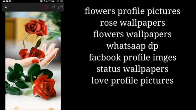 Beautiful WhatsApp profile images/download video