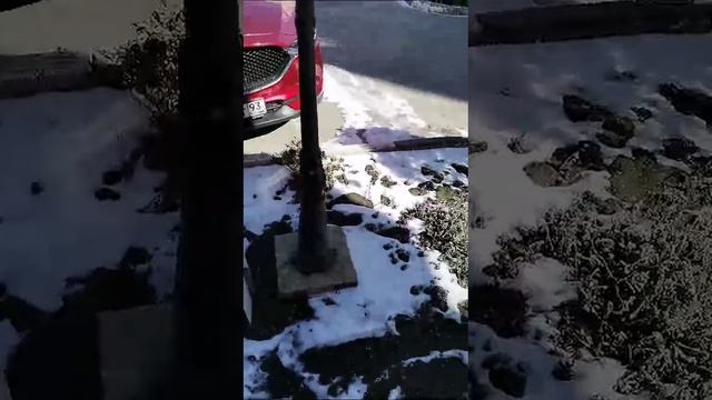 Анапа. 1.03.2025. Видео от Галины.