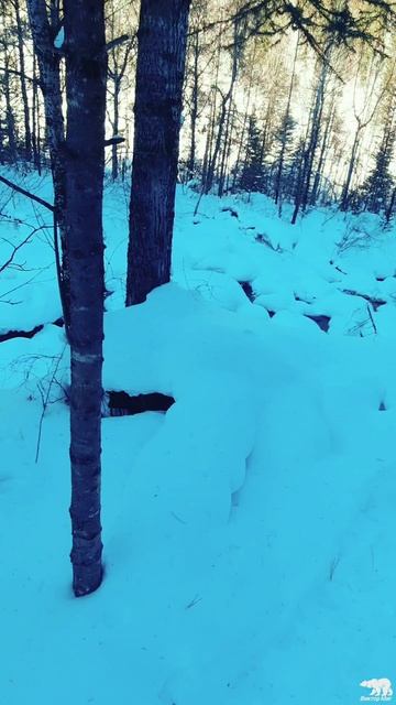 Весна