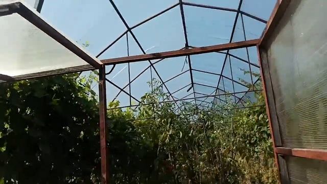 Рогнединский район труд человека