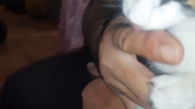 Мама Мони:"Ты покурил,теперь Я"