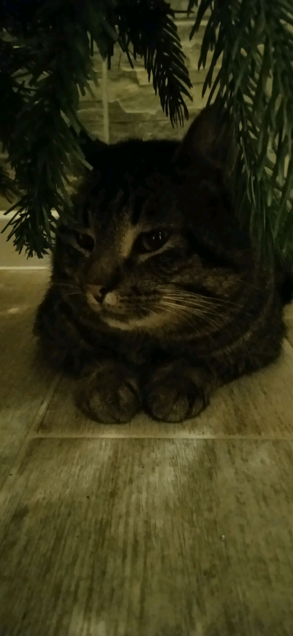 негннгнг