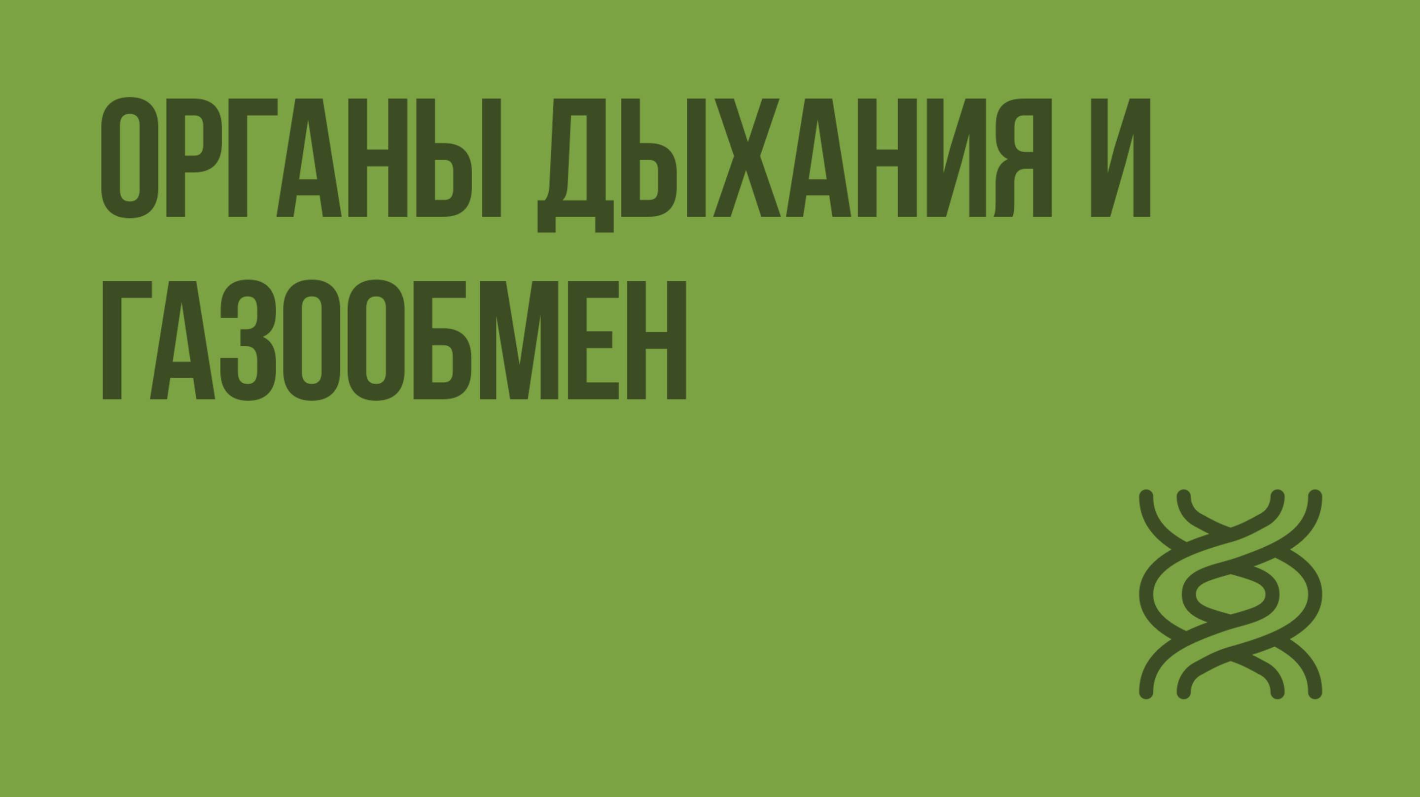 Органы дыхания и газообмен. Видеоурок по биологии 7 класс